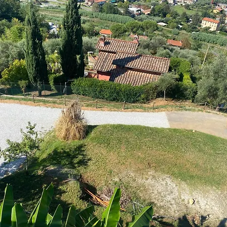 Patrizia * Pietrasanta