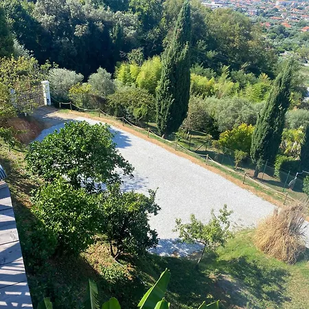 Patrizia * Pietrasanta